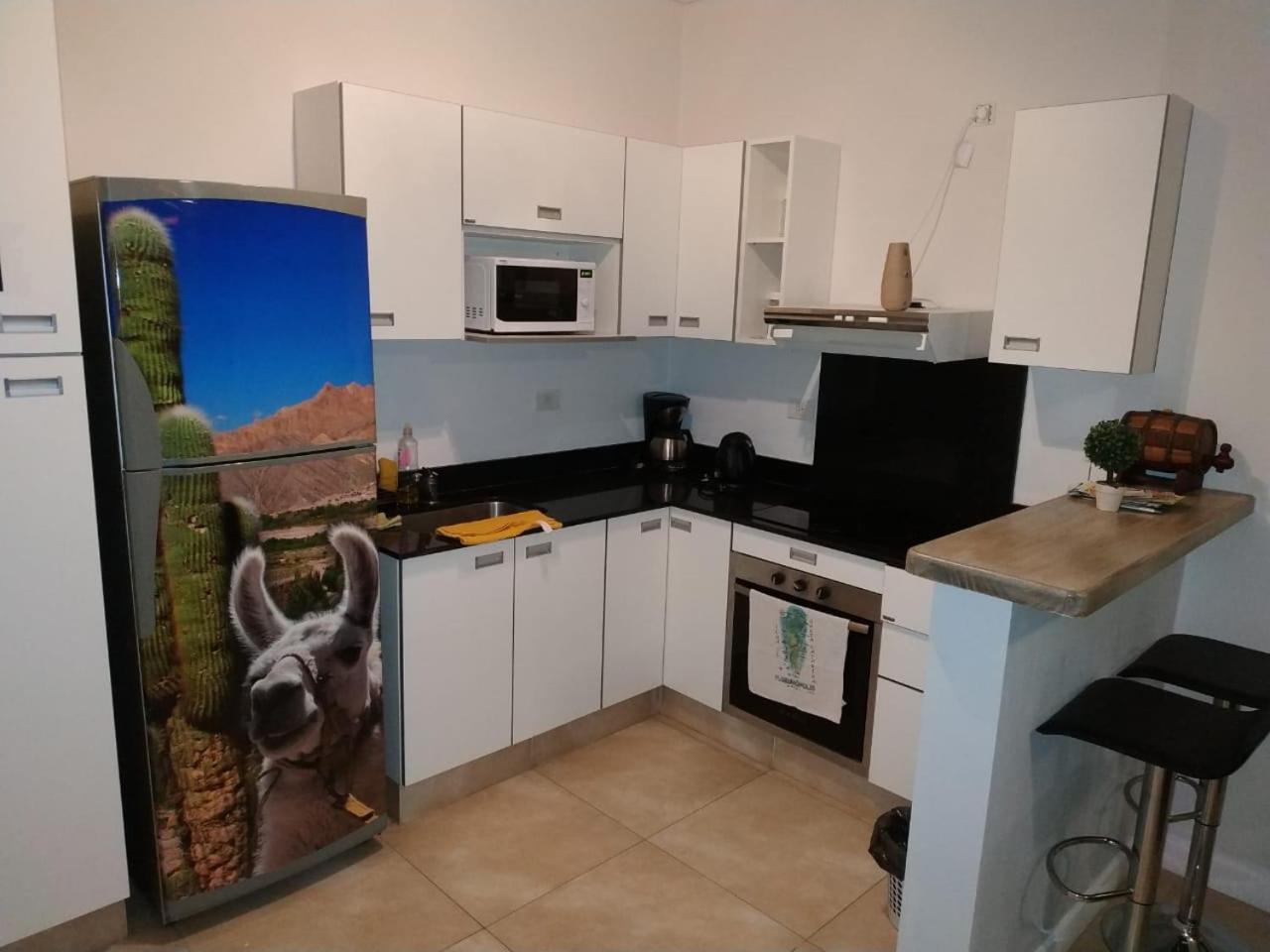 דירות סלטה Apartamento Leguizamon מראה חיצוני תמונה